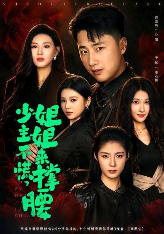 《少主不慌，姐姐来撑腰》-VIP部落
