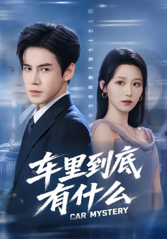 《车里到底有什么》-VIP部落