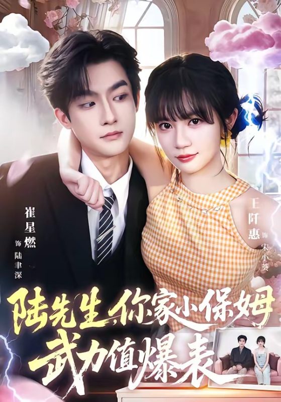 《陆先生，你家小保姆武力值爆表》-VIP部落