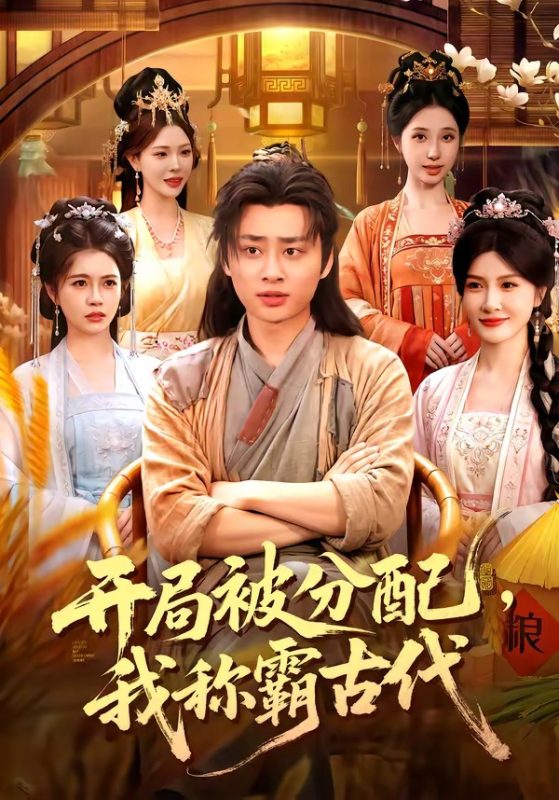 《开局被分配，我称霸古代》-VIP部落