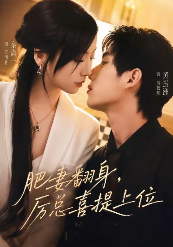 《肥妻翻身，厉总喜提上位》-VIP部落