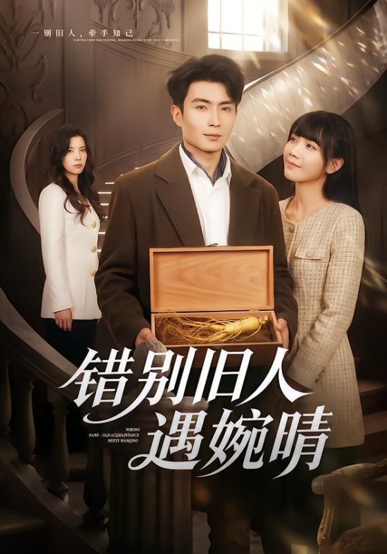 《错别旧人遇婉晴》-VIP部落