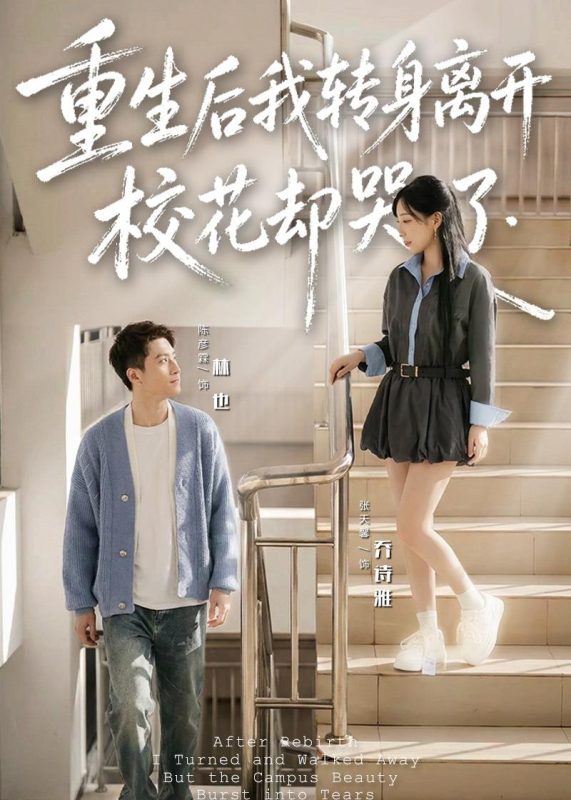 《重生后我转身离开，校花却哭了》-VIP部落