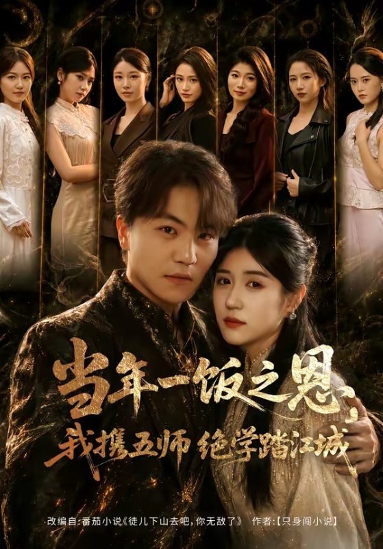 《当年一饭之恩，我携五师绝学踏江城》-VIP部落
