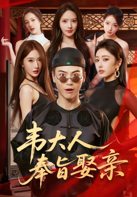 《韦大人奉旨娶亲》-VIP部落