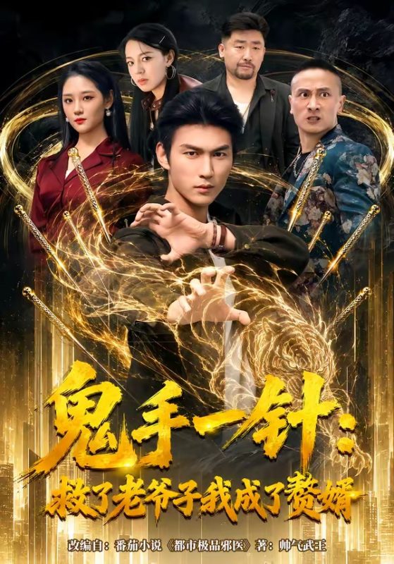 《鬼手一针：救了老爷子我成了赘婿》-VIP部落