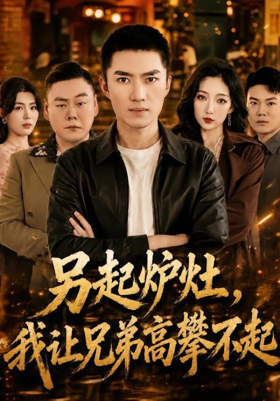 《另起炉灶，我让兄弟高攀不起》-VIP部落