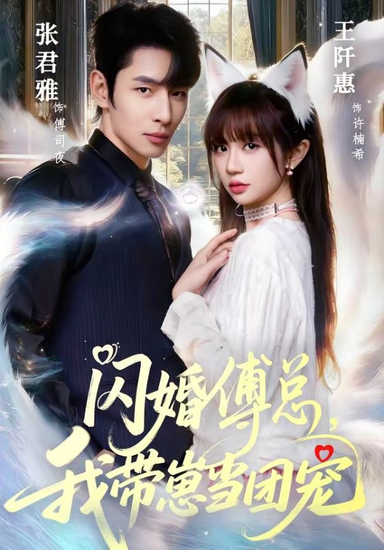《闪婚傅总，我带崽当团宠》-VIP部落