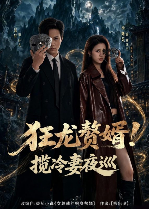 《狂龙赘婿！揽冷妻夜巡》-VIP部落