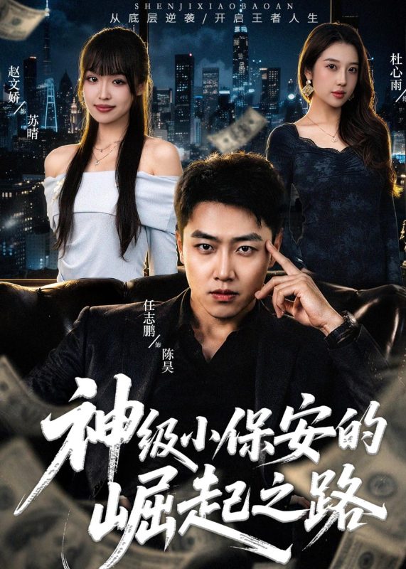 《神级小保安的崛起之路》-VIP部落