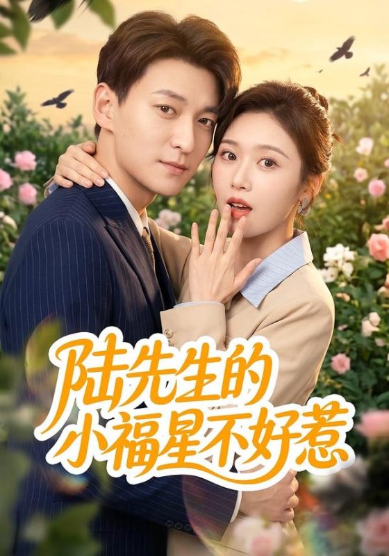 《陆先生的小福星不好惹》-VIP部落
