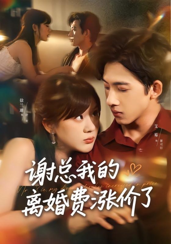 《谢总我的离婚费涨价了》-VIP部落