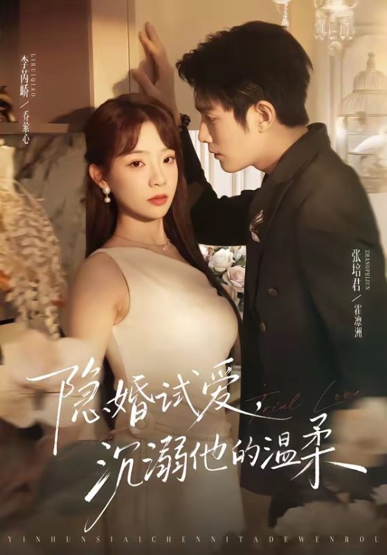 《隐婚试爱，沉溺他的温柔》-VIP部落