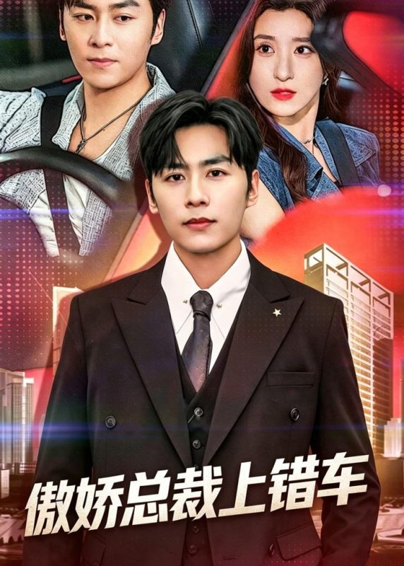 《傲娇总裁上错车》-VIP部落