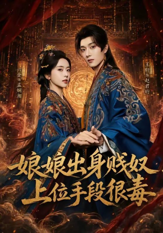 《娘娘出身贱奴，上位手段很毒》-VIP部落