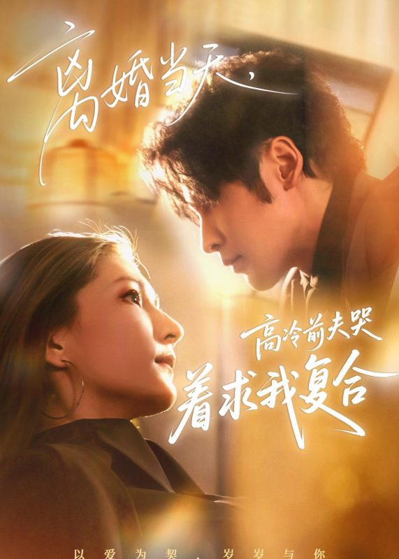 《离婚当天，高冷前夫哭着求我复合》-VIP部落