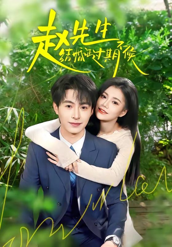 《赵先生结婚证过期不候》-VIP部落