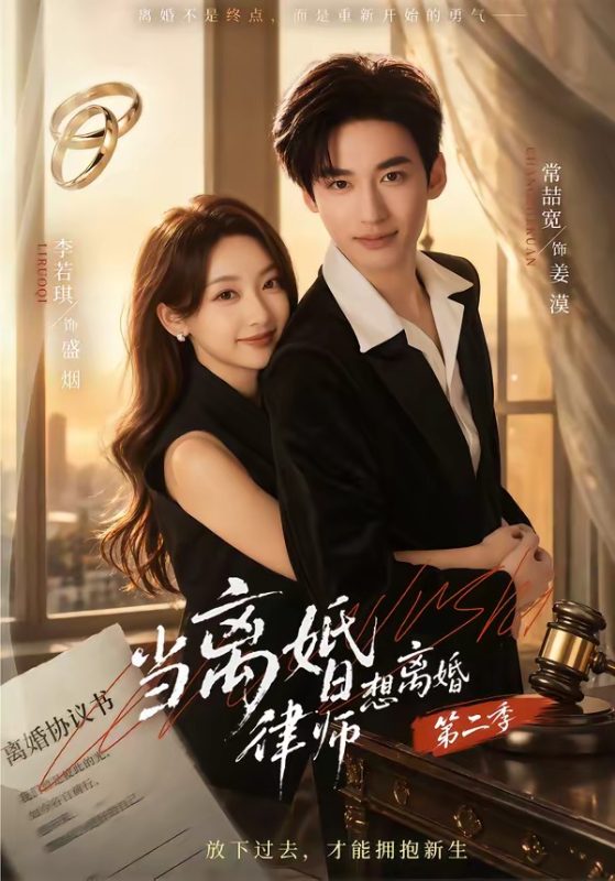 《当离婚律师想离婚第二季》-VIP部落