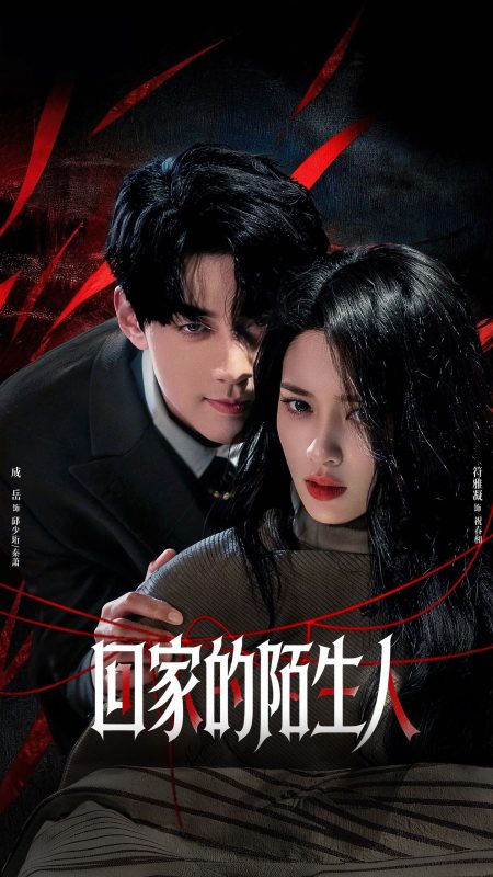 《回家的陌生人》-VIP部落
