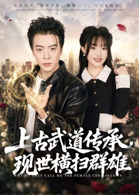 《上古武道传承，现世横扫群雄》-VIP部落