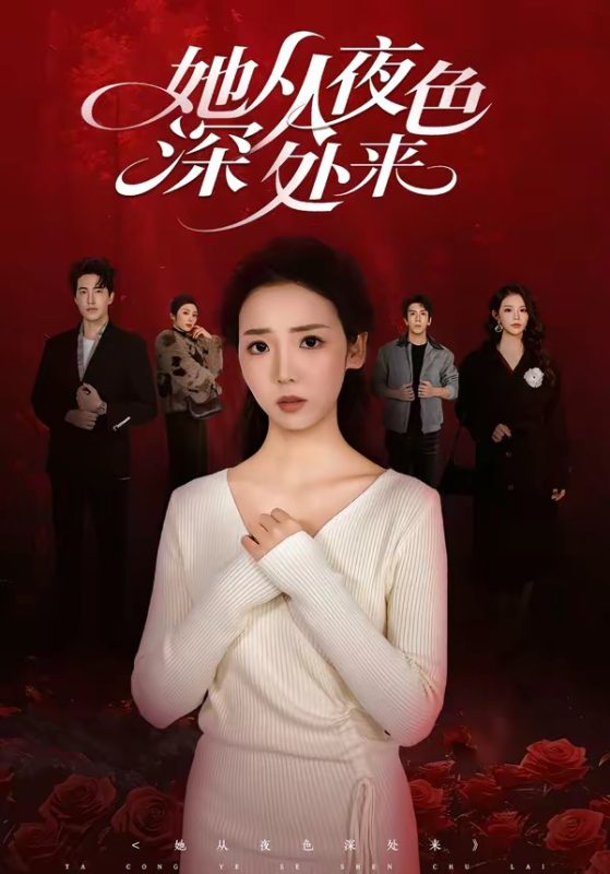《她从夜色深处来》-VIP部落