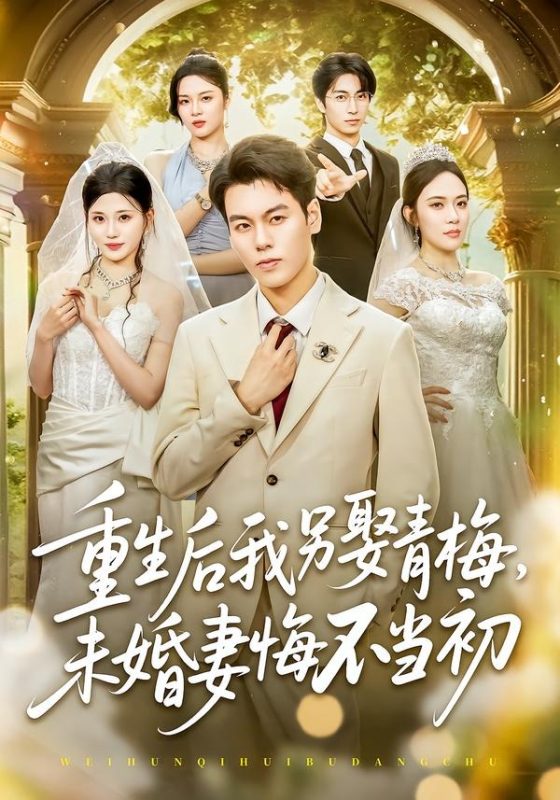 《重生后我另娶青梅，未婚妻悔不当初》-VIP部落