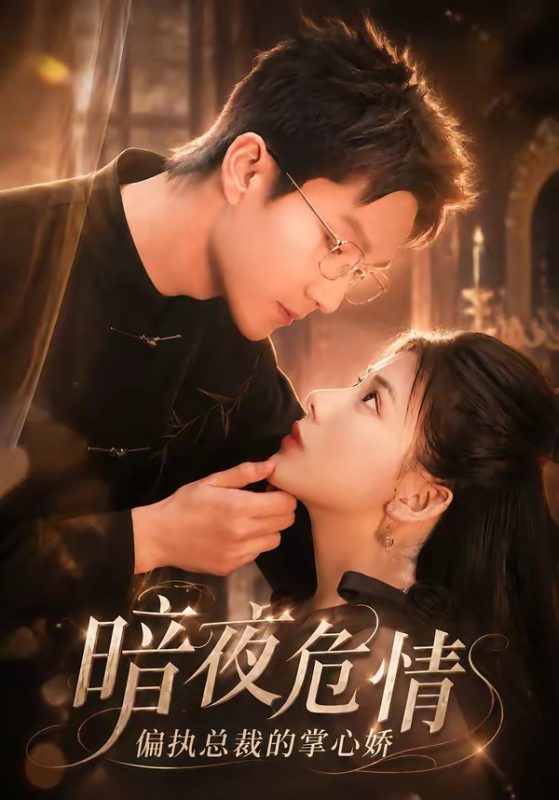 《暗夜危情，偏执总裁的掌心娇》-VIP部落