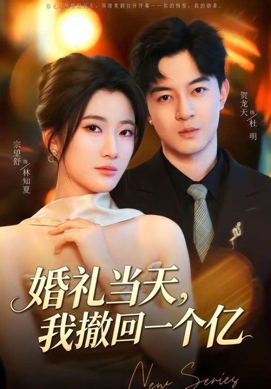 《婚礼当天，我撤回一个亿》-VIP部落
