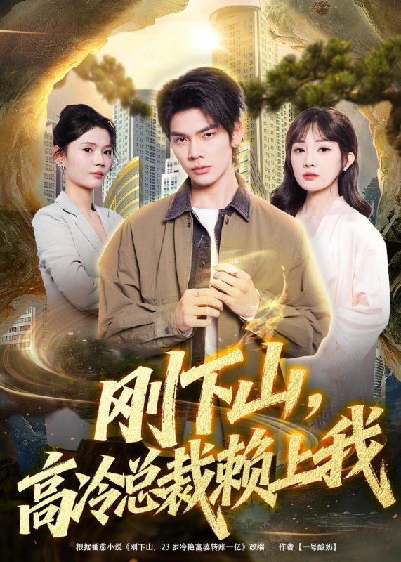 《刚下山，高冷总裁赖上我》-VIP部落