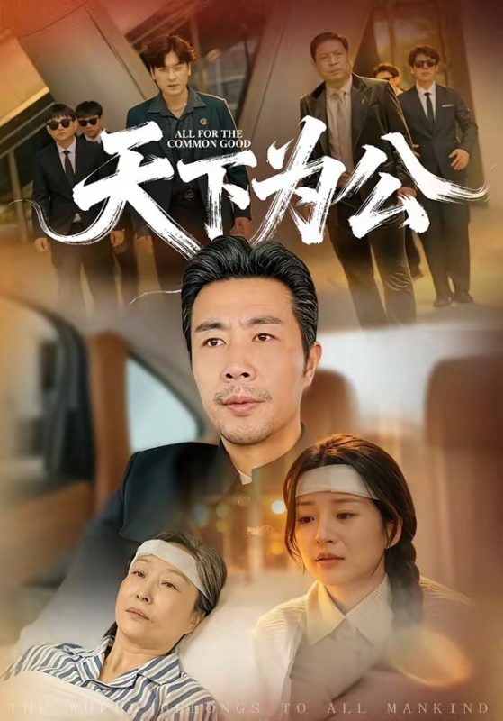 《天下为公》-VIP部落