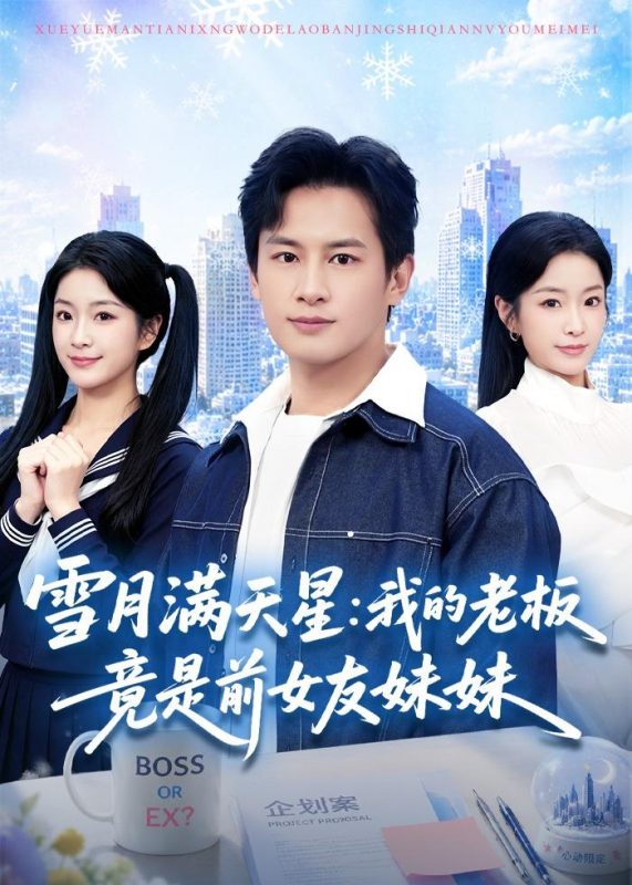 《雪月满天星：我的老板竟是前女友妹妹》-VIP部落