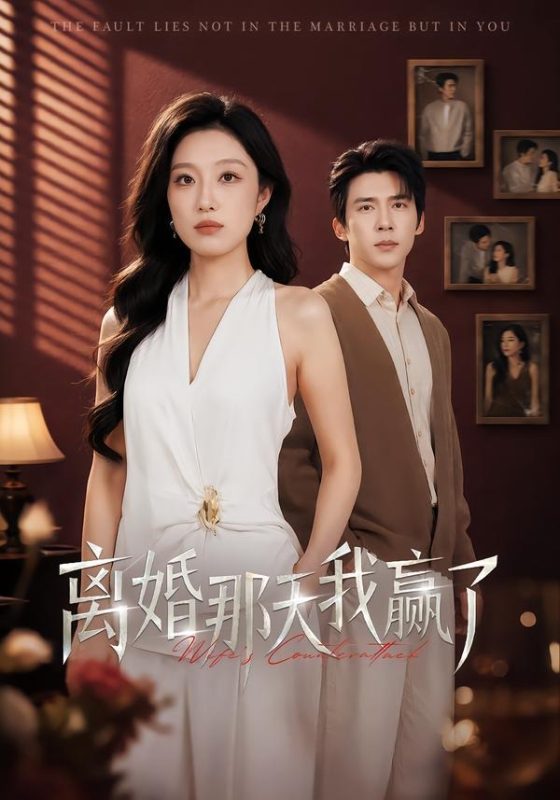 《离婚那天我赢了》-VIP部落