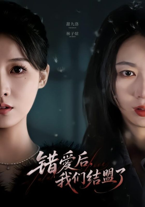 《错爱后，我们结盟了》-VIP部落
