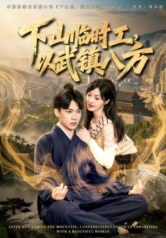 《下山临时工，以武镇八方》-VIP部落
