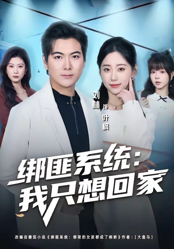 《绑匪系统：我只想回家》-VIP部落