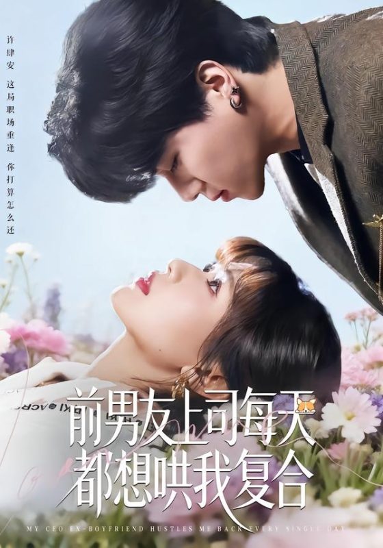 《前男友上司每天都想哄我复合》-VIP部落