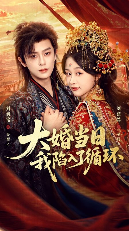 《大婚当日，我陷入了循环》-VIP部落