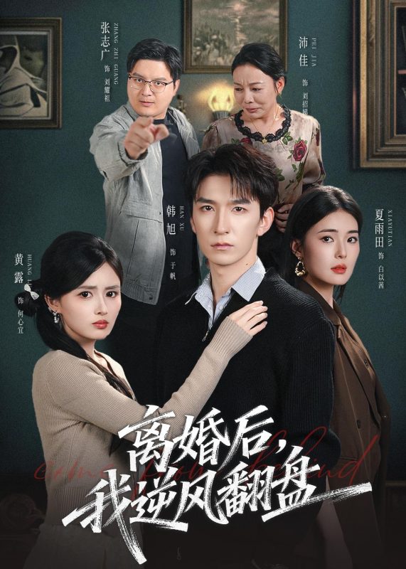 《离婚后，我逆风翻盘》-VIP部落