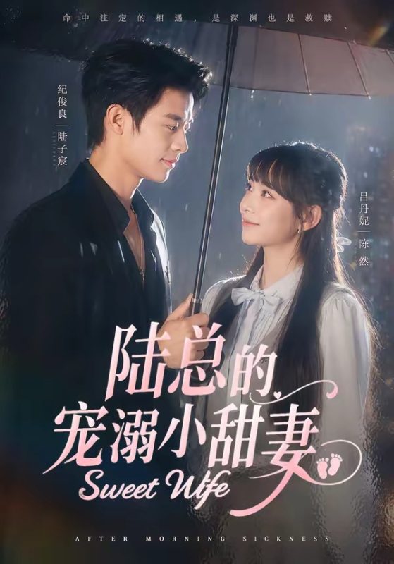 《陆总的宠溺小甜妻》-VIP部落