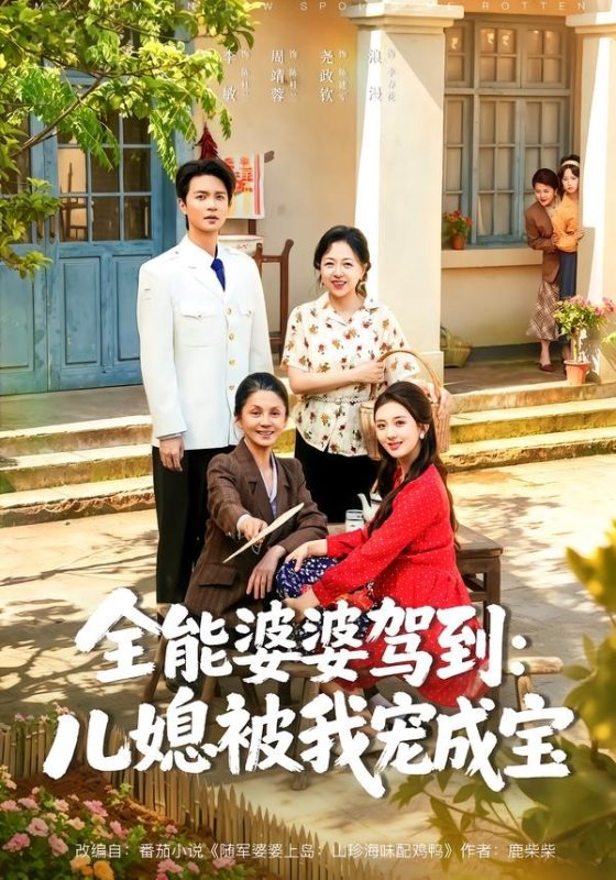 《全能婆婆驾到：儿媳被我宠成宝》-VIP部落