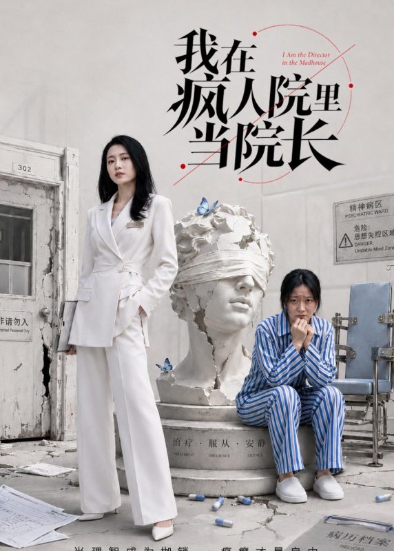 《我在疯人院里当院长》-VIP部落