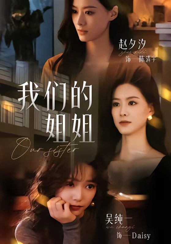 《我们的姐姐》-VIP部落