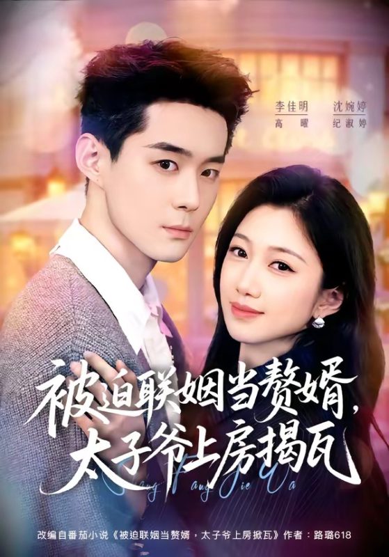 《被迫联姻当赘婿，太子爷上房揭瓦》-VIP部落