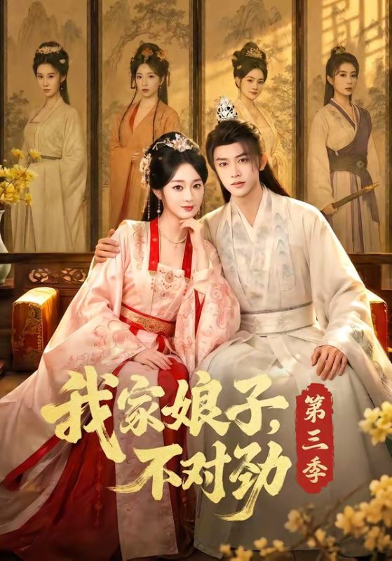 《我家娘子，不对劲第三季》-VIP部落