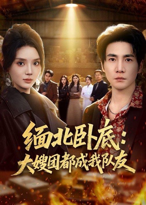 《缅北卧底：大嫂团都成我队友》-VIP部落