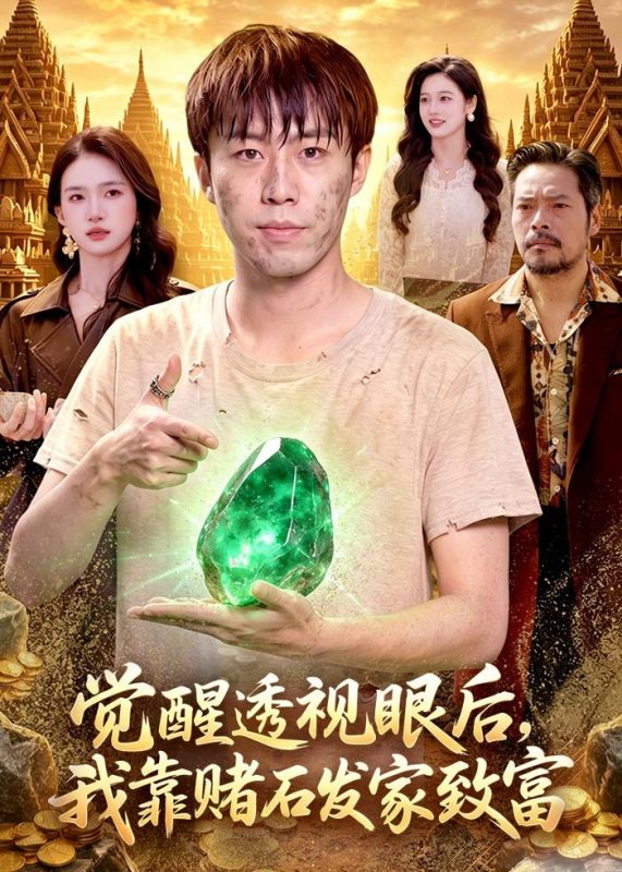 《觉醒透视眼后，我靠赌石发家致富》-VIP部落