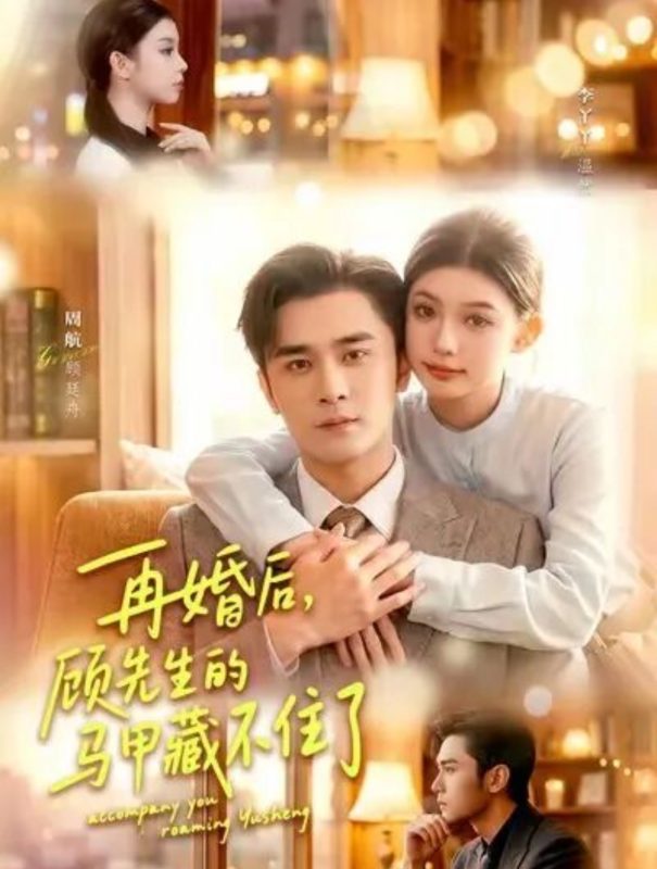 《再婚后，顾先生的马甲藏不住了》-VIP部落