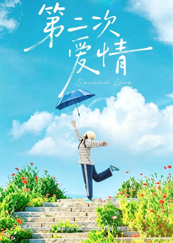 《第二次爱情》-VIP部落