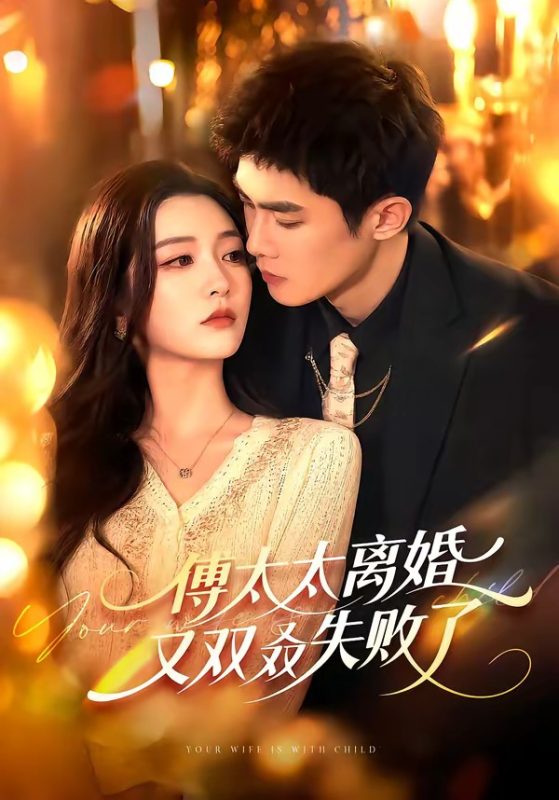 《傅太太离婚又双叒失败了》-VIP部落