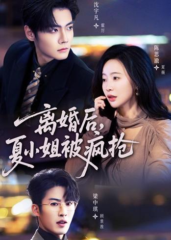 《离婚后，夏小姐被疯抢》-VIP部落